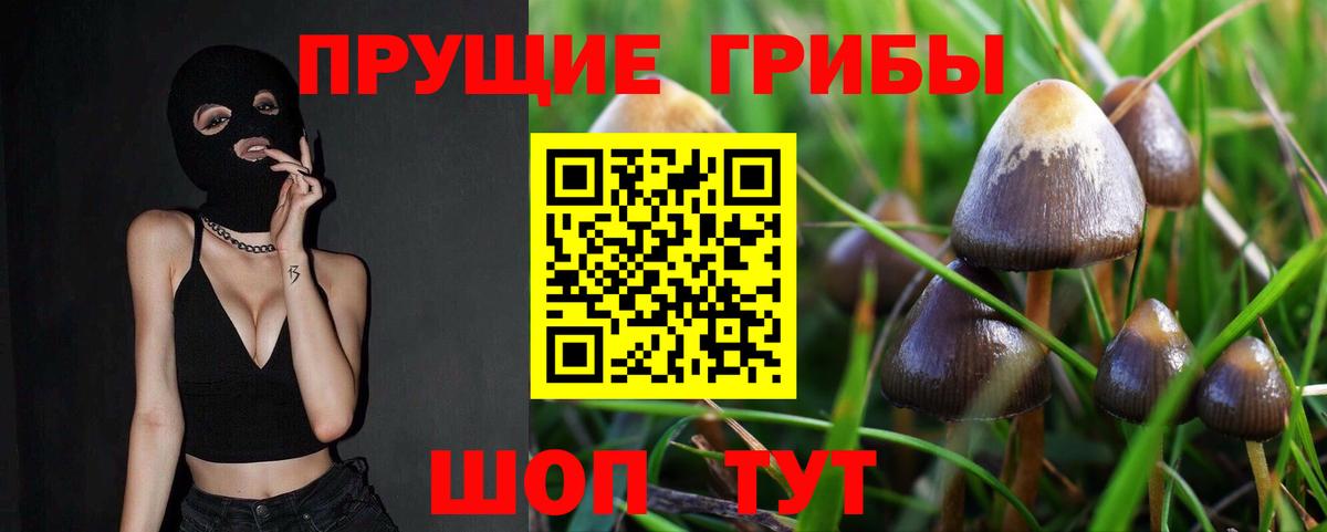 магазин    Гусиноозёрск  Галлюциногенные грибы мухоморы 